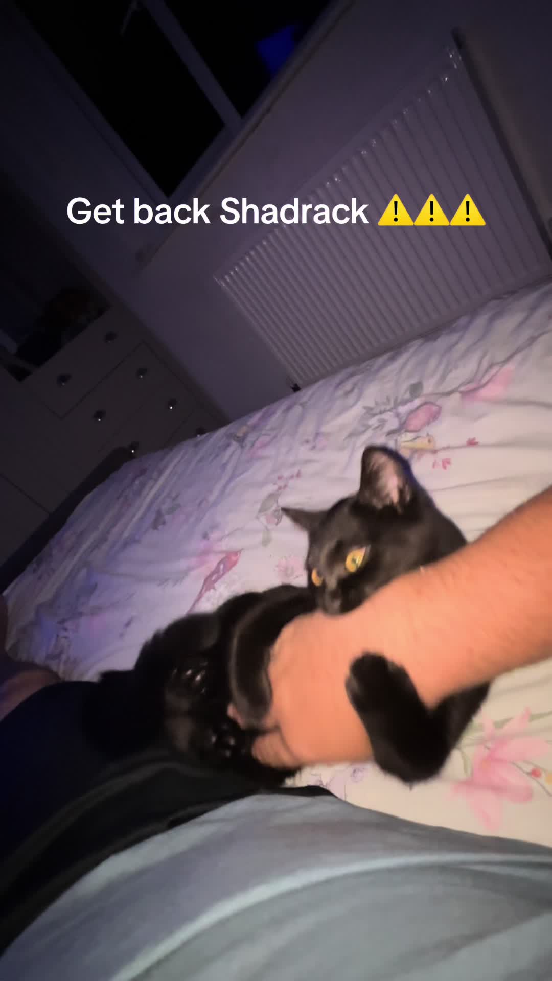 @simonackers