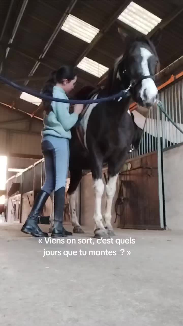 @un_coeur_alezan