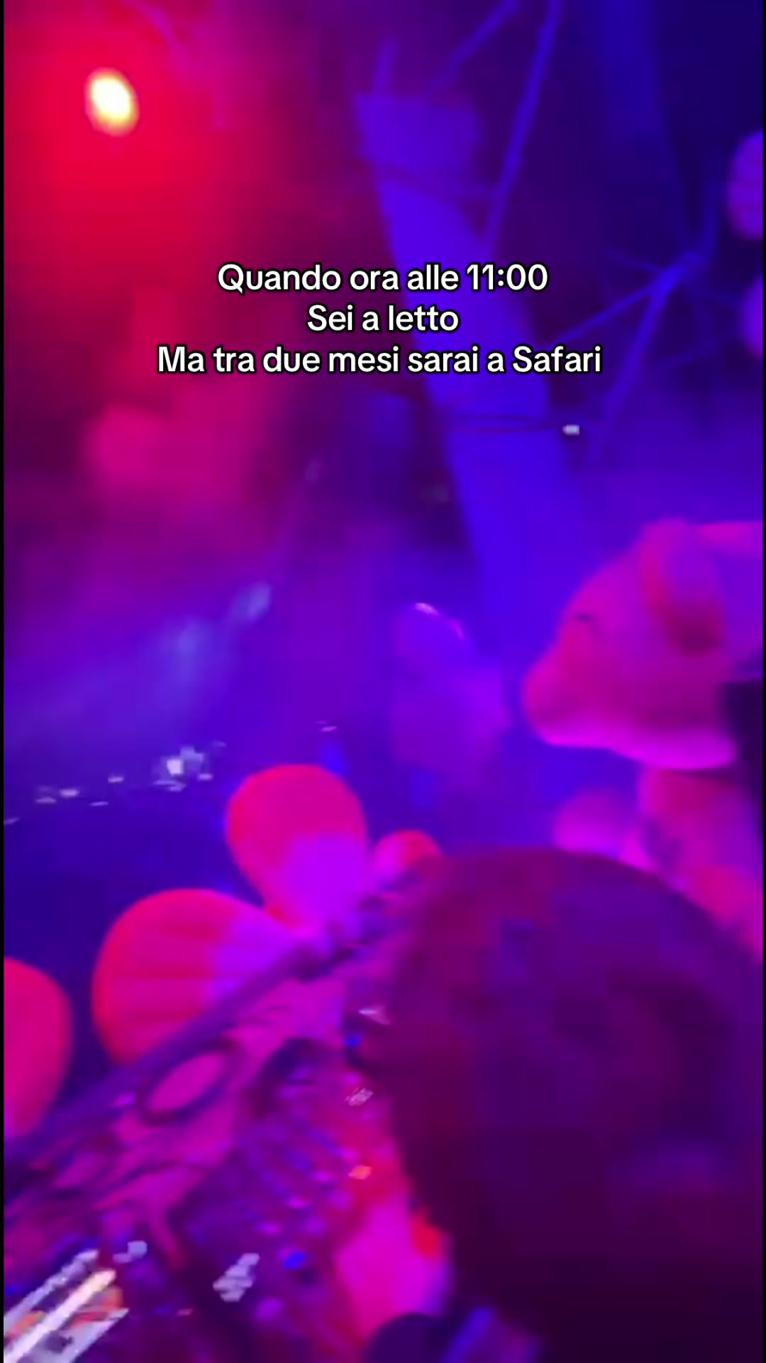 @FIESTASAFARIOFFICIAL