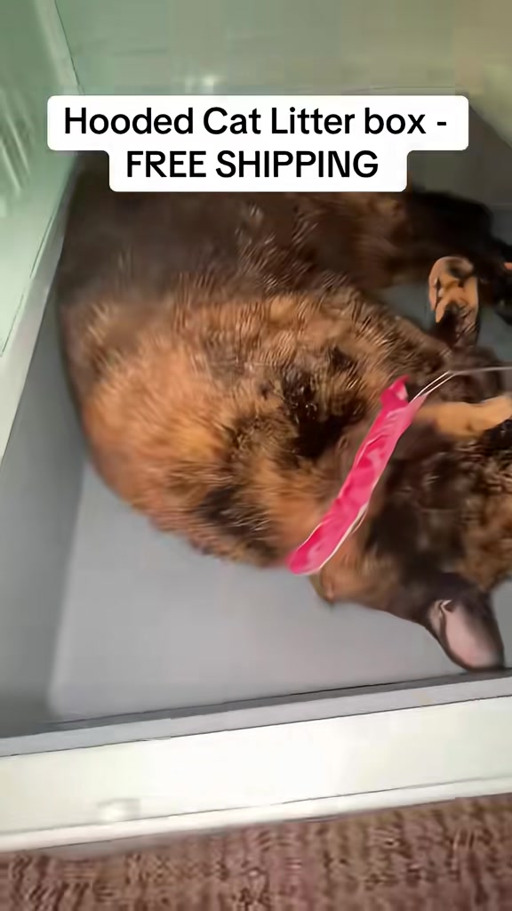 @Awesomepawsome2017
