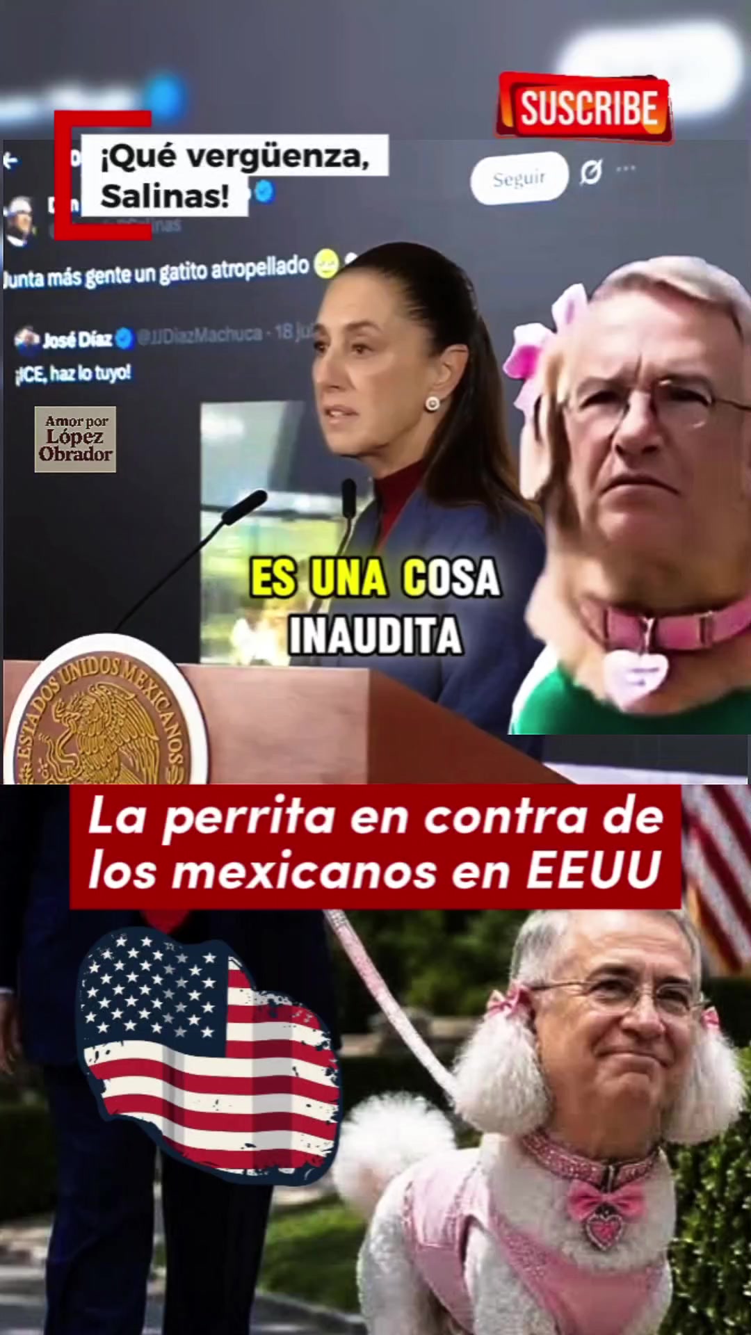 @Amor por L&oacute;pez Obrador