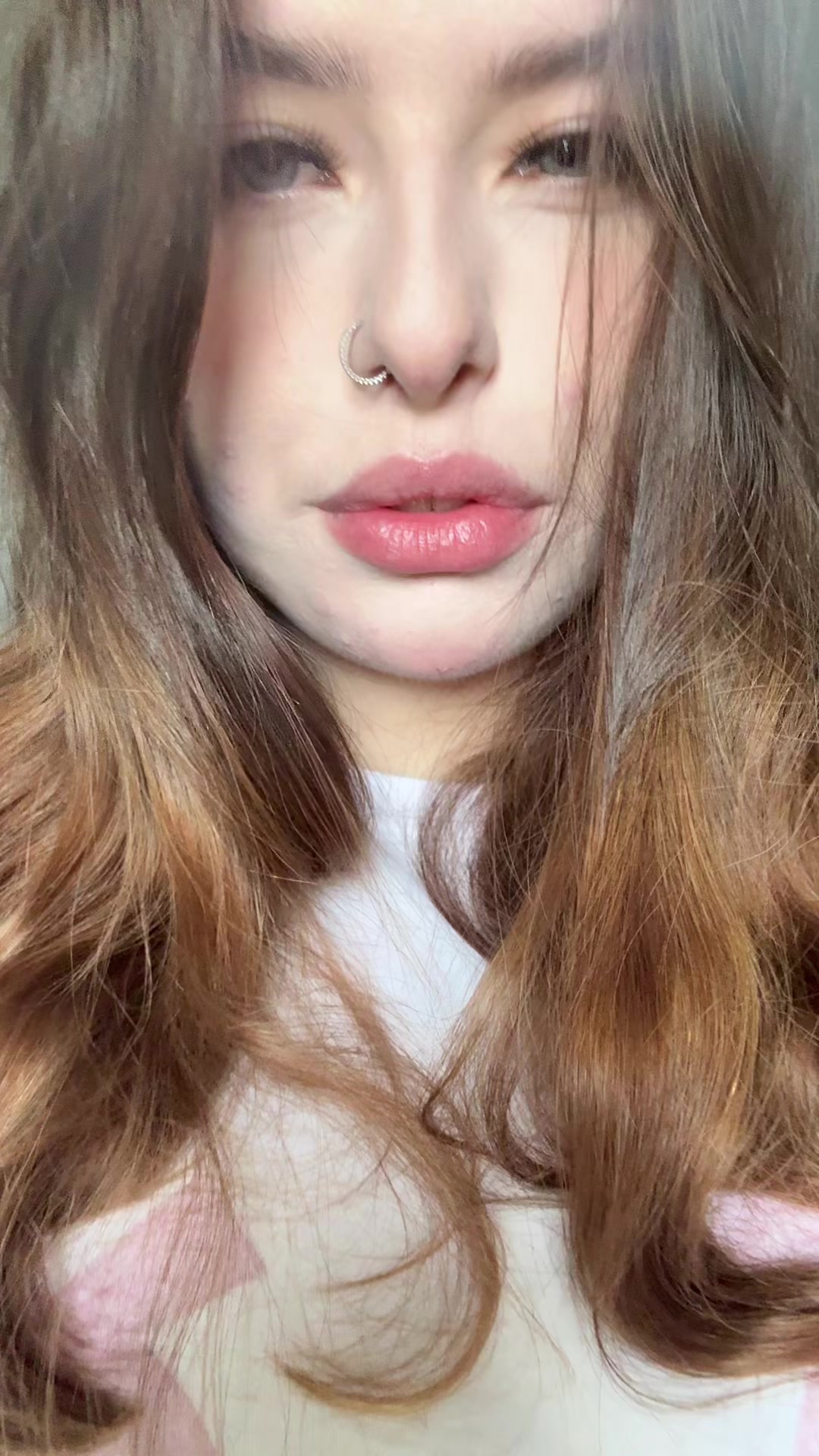 @dar.rrrsi