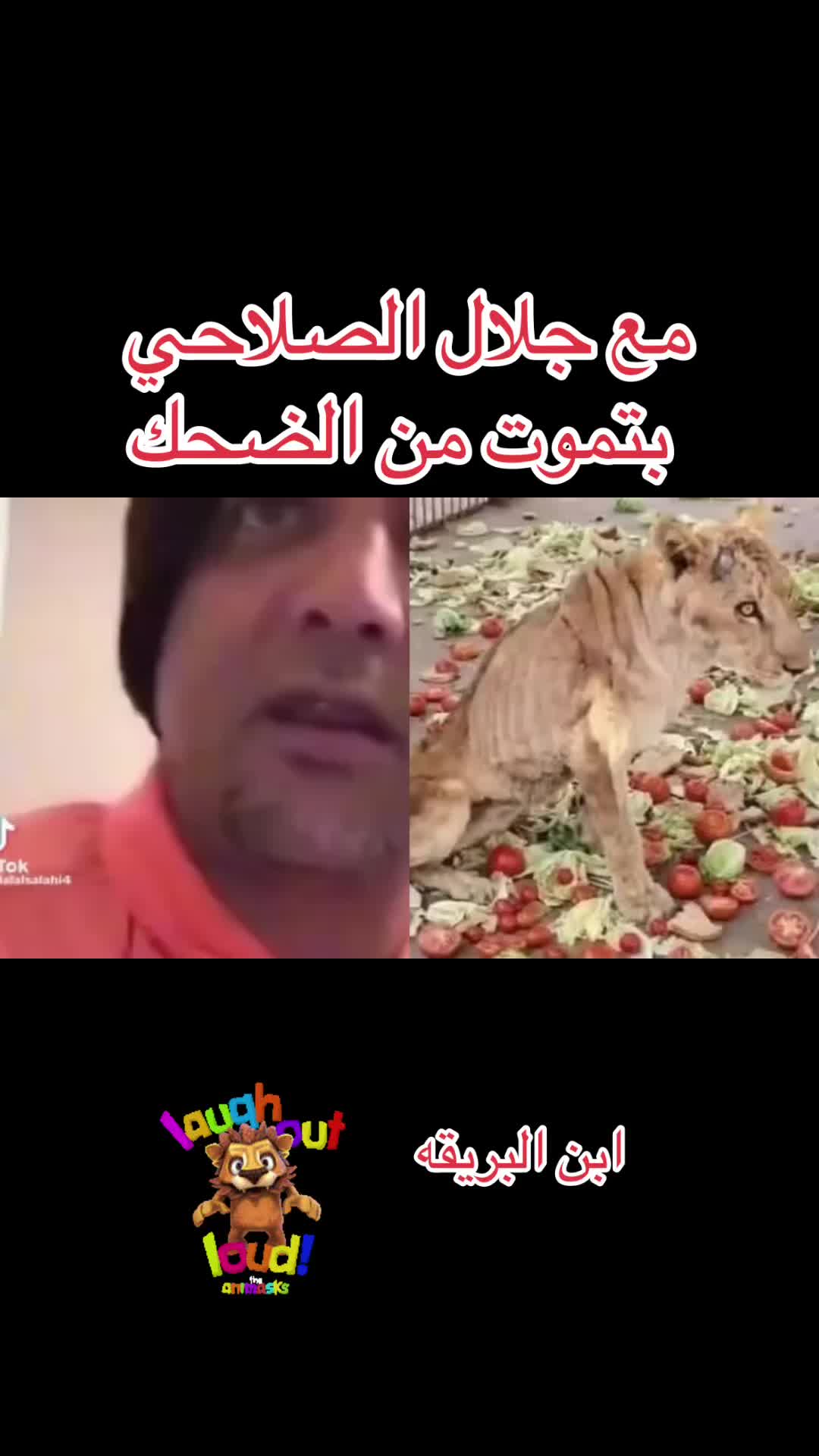 @LITTLE ADEN