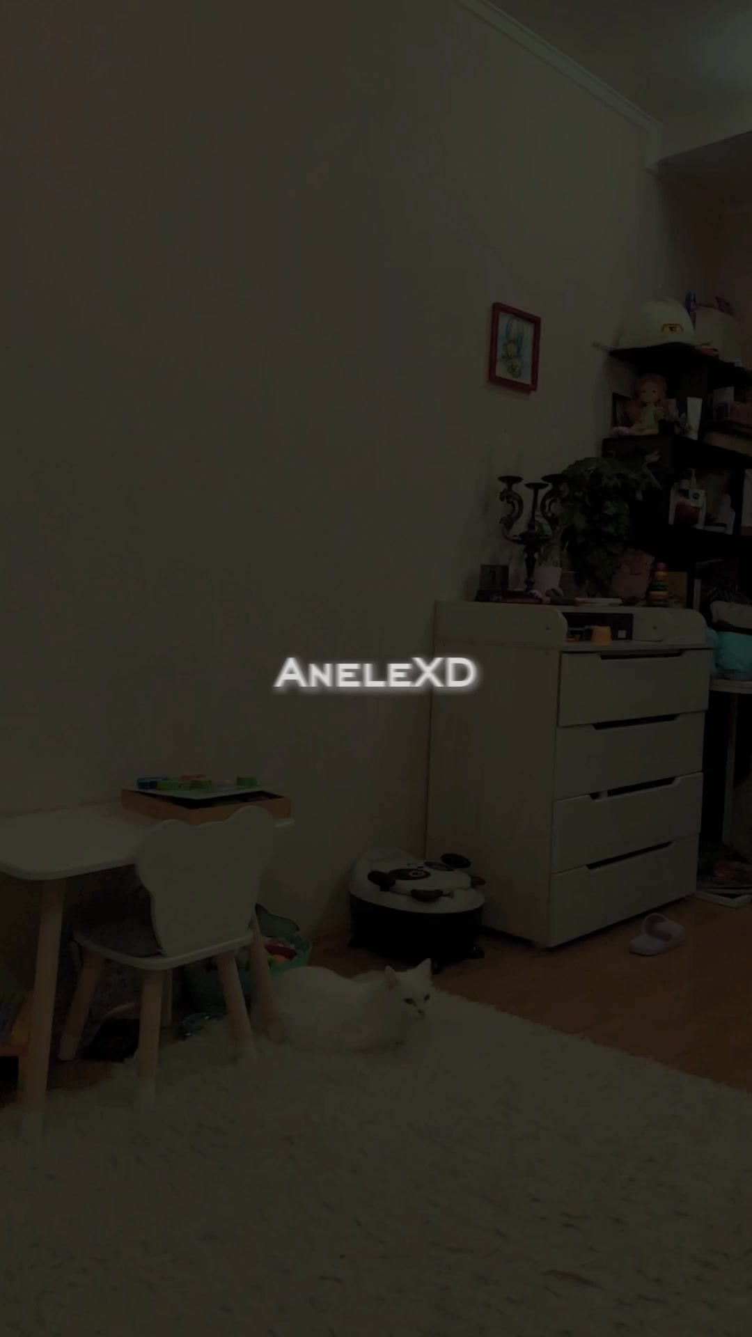 @ANEEEEL!