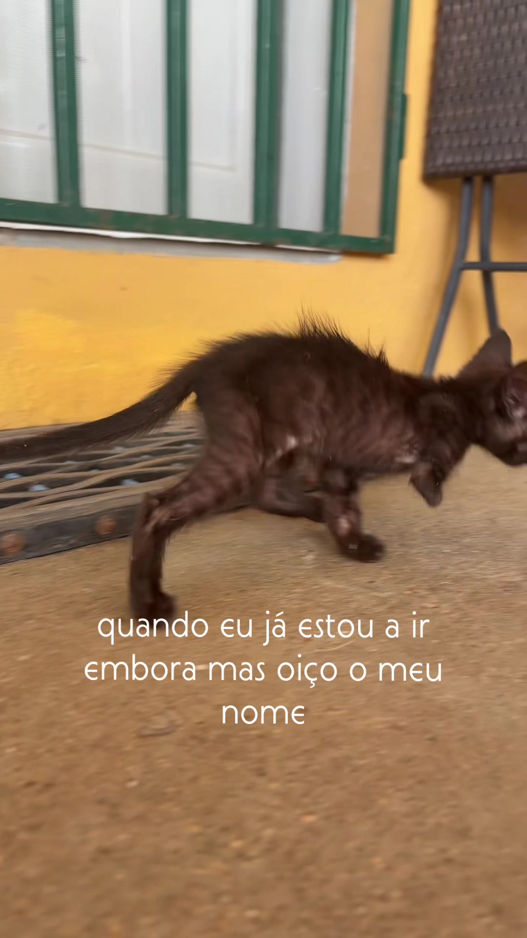 @uau567890