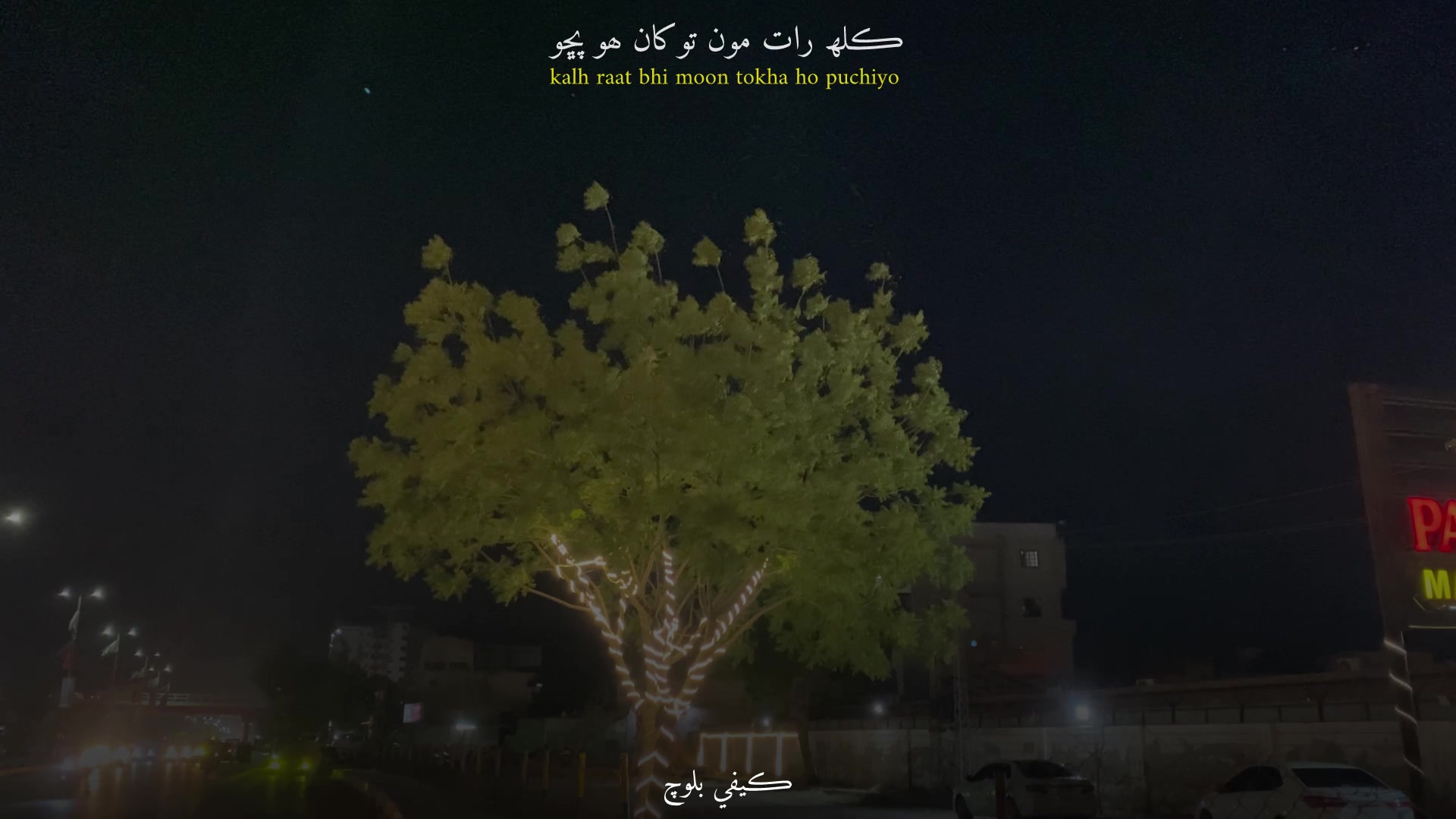@ڪيفي بلوچ🚩