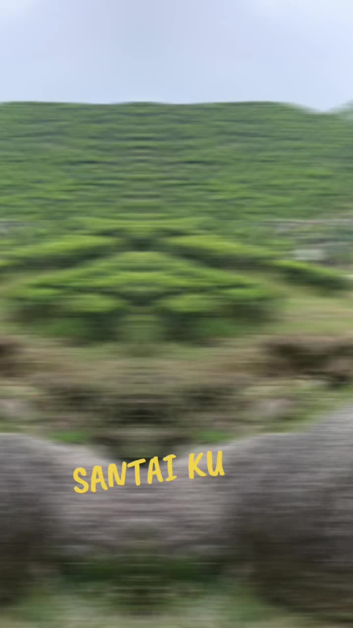 @NAKI 74