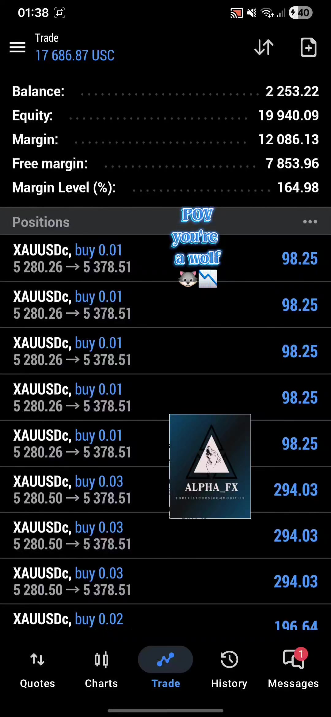 @wgzenitsu_alpha_fx