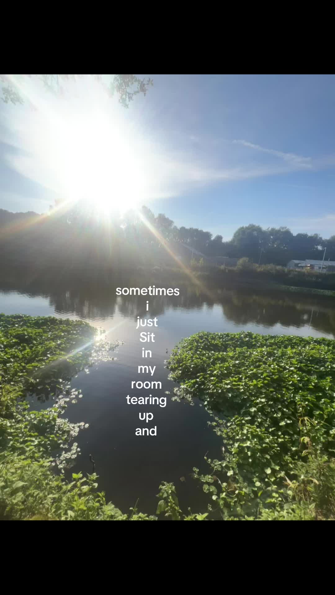 @ˊ 🍃 𝘨𝘦𝘰