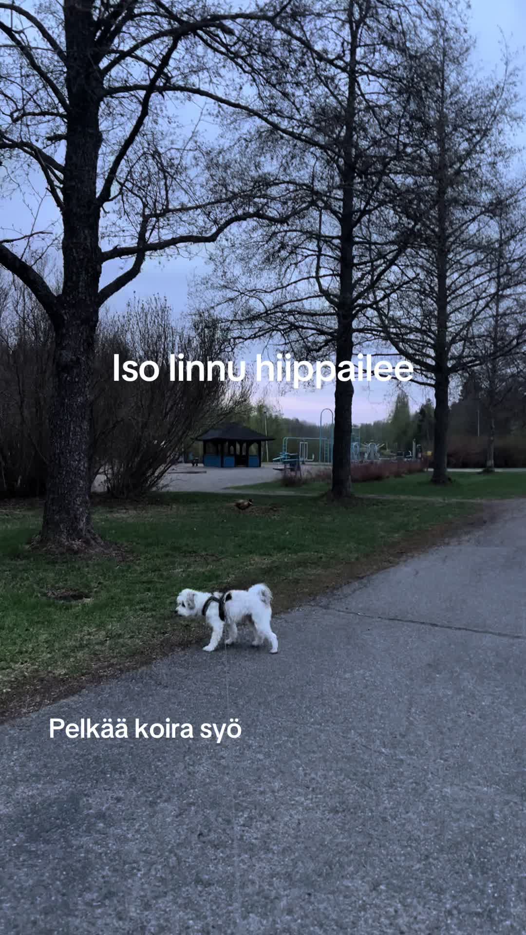 @Milla