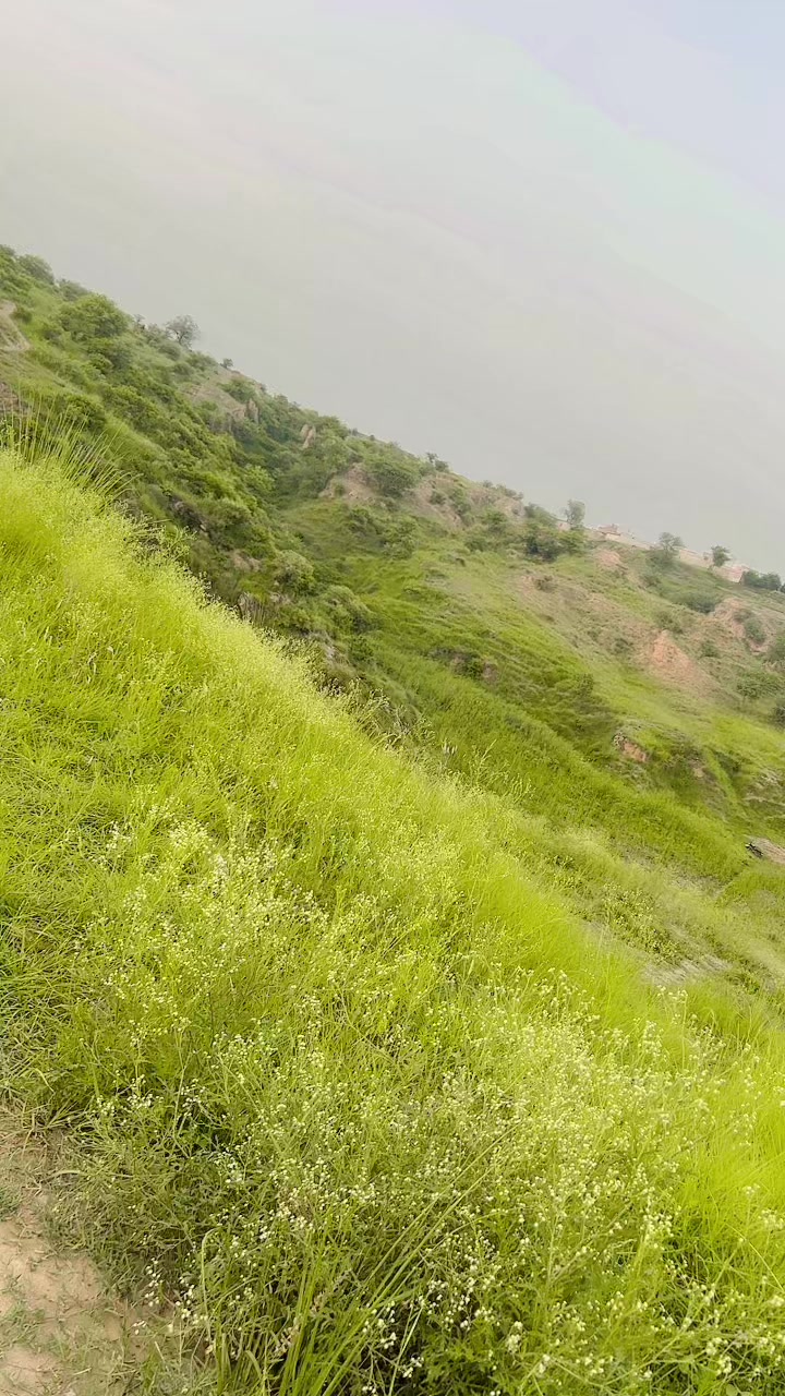 @Kazam Chand