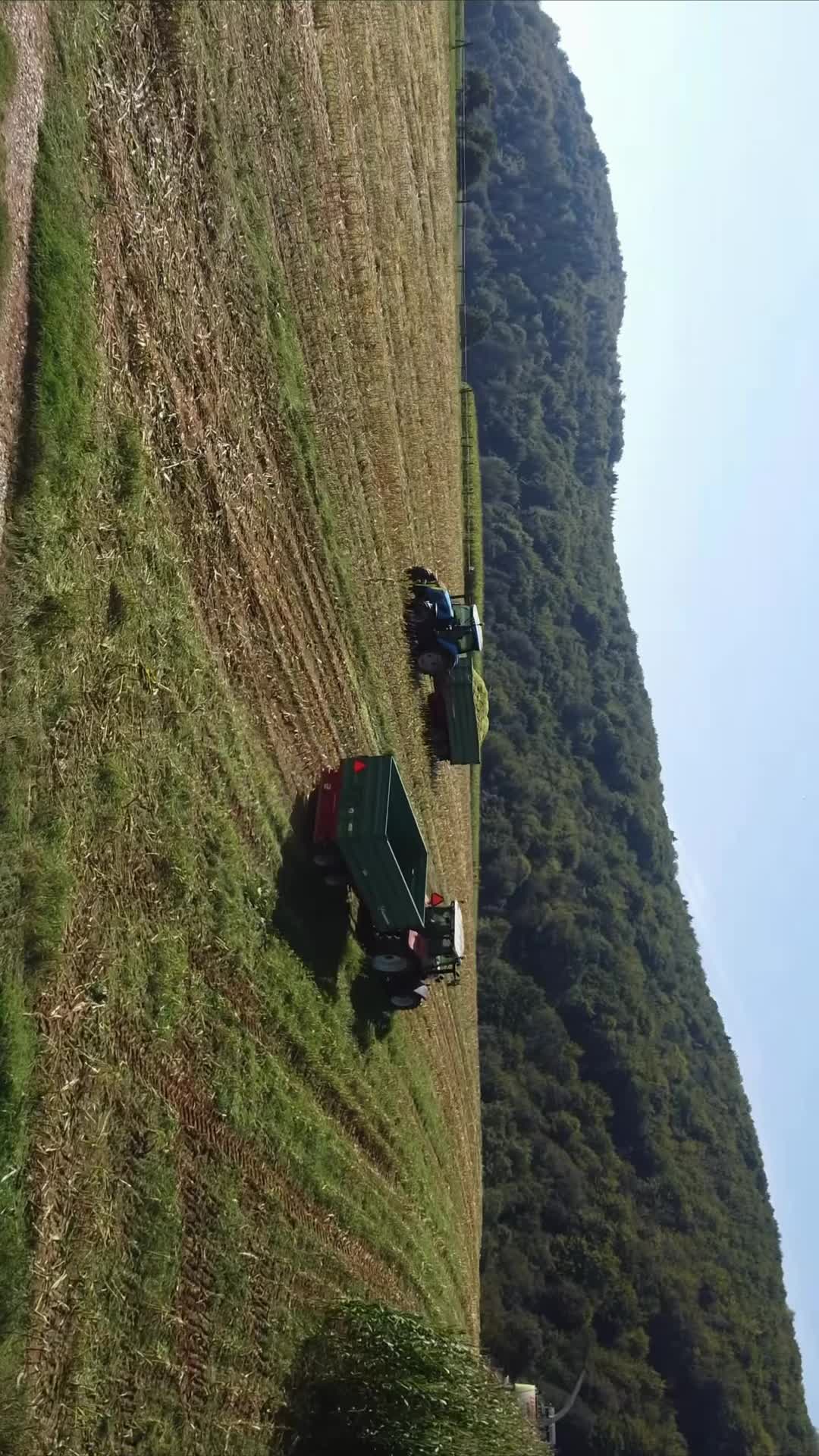@Farming