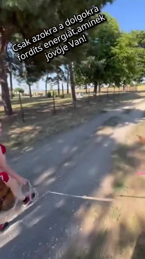 @Forika Forika
