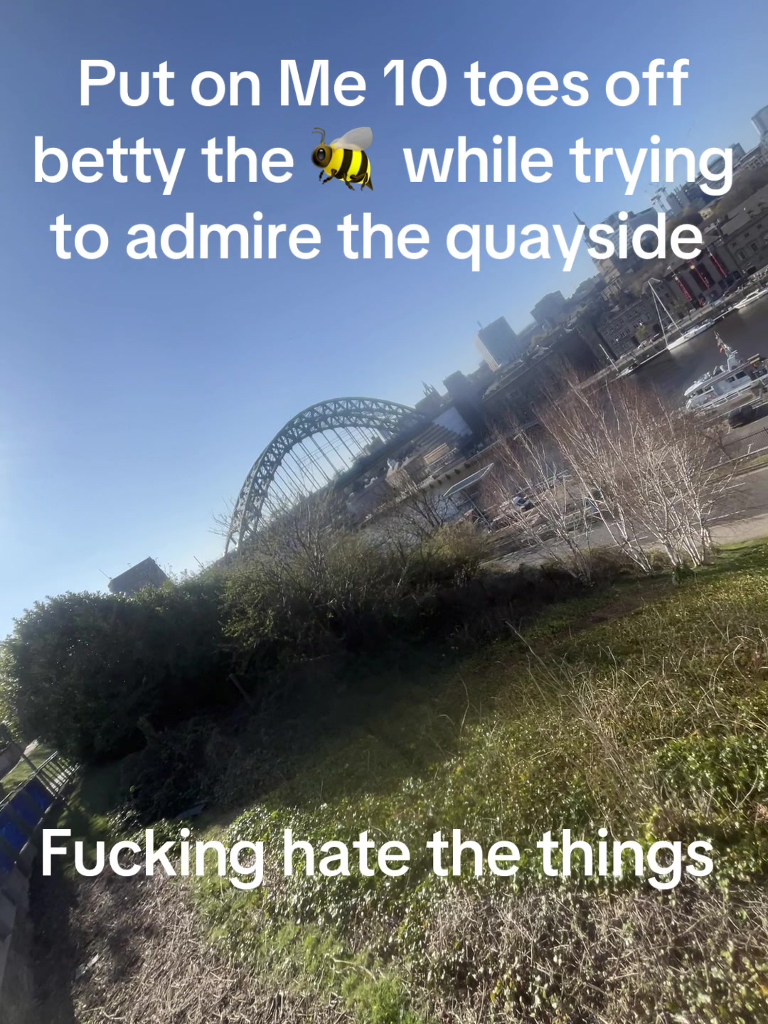 @DB