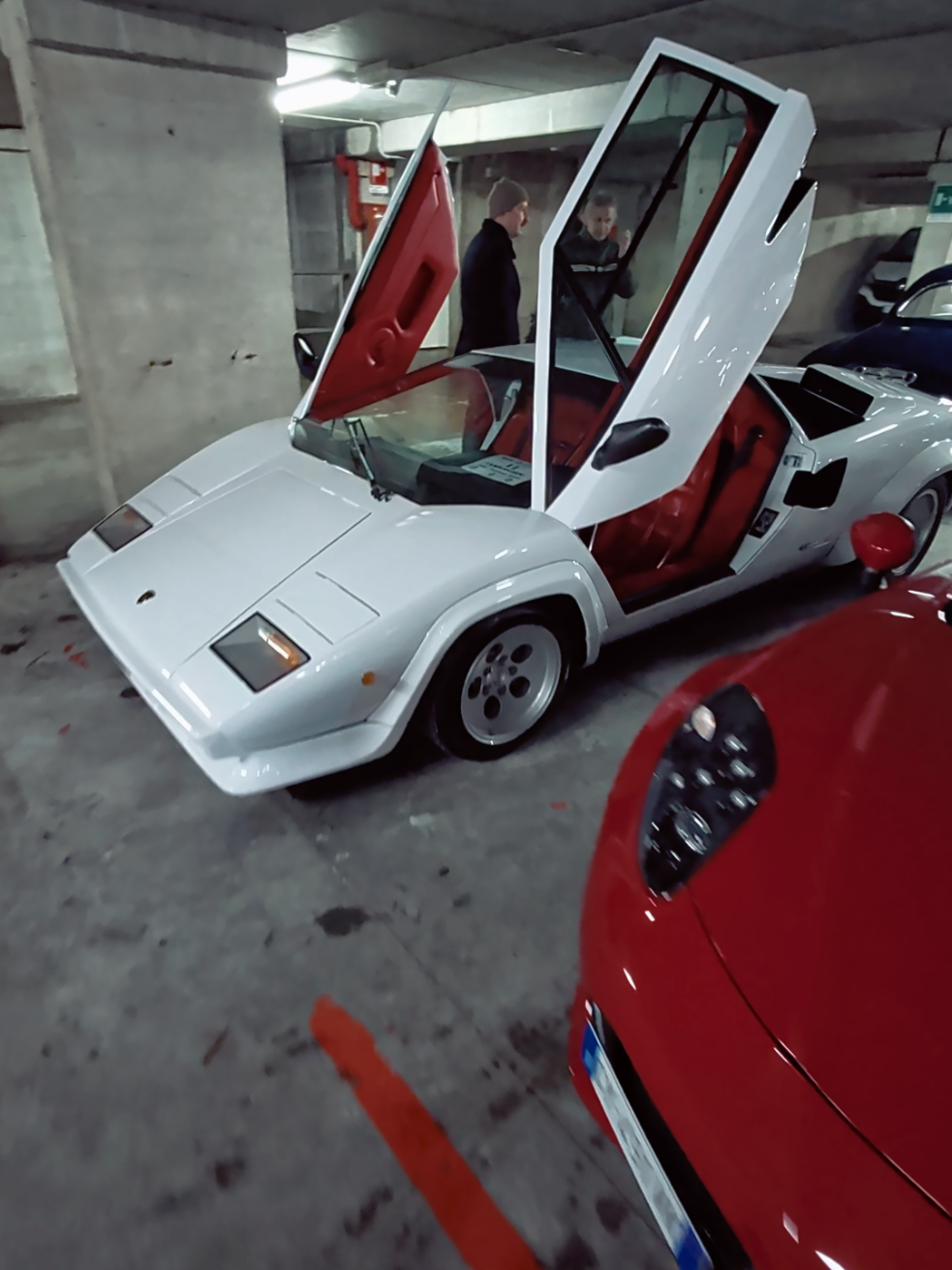 @Tasting Cars