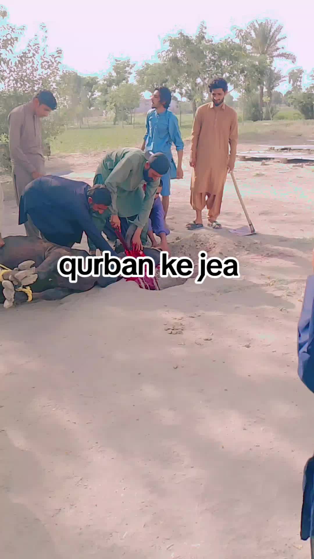 @malik Mohsin