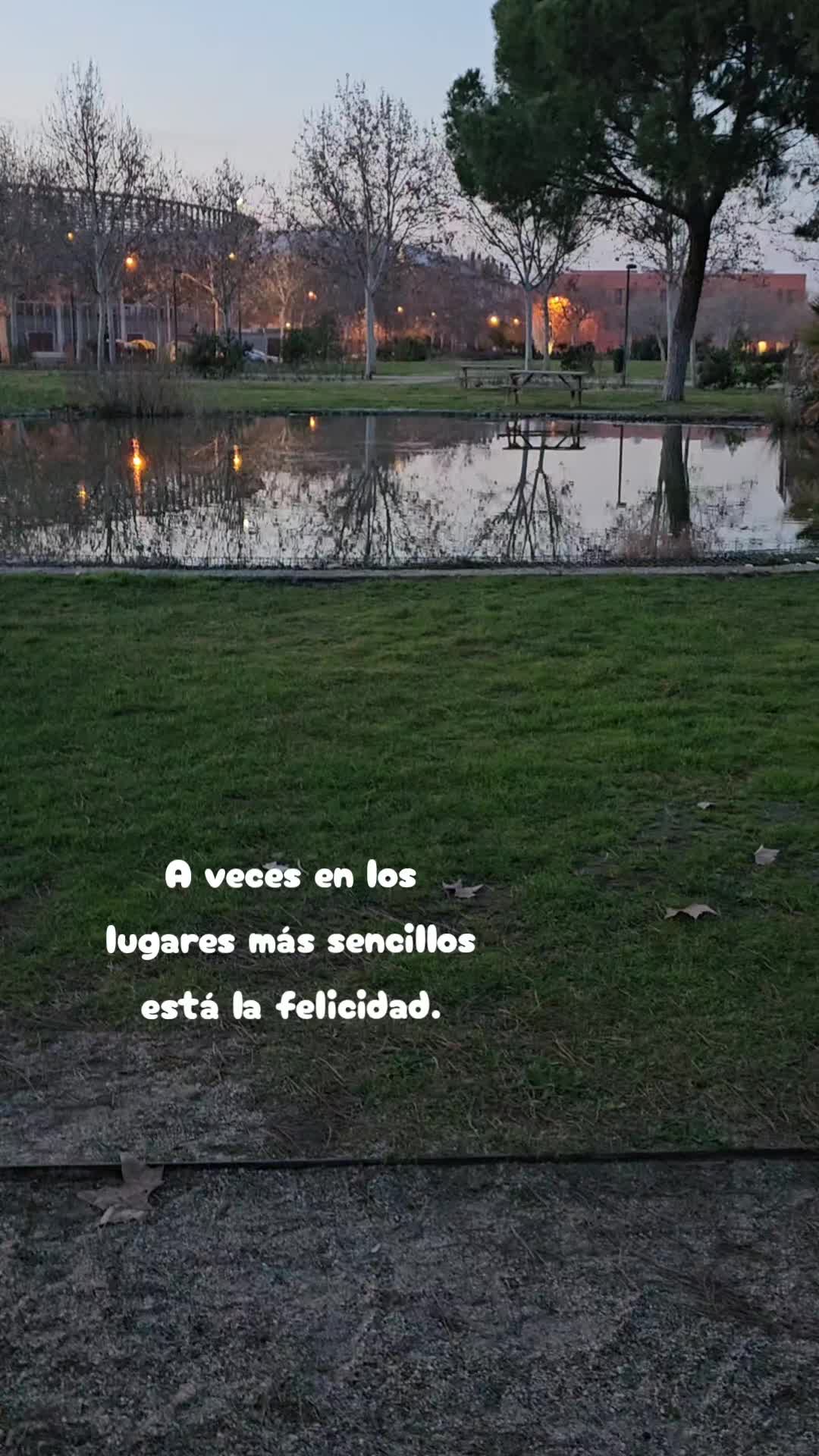 @dendelacruz