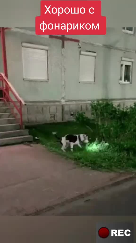 @Лариса