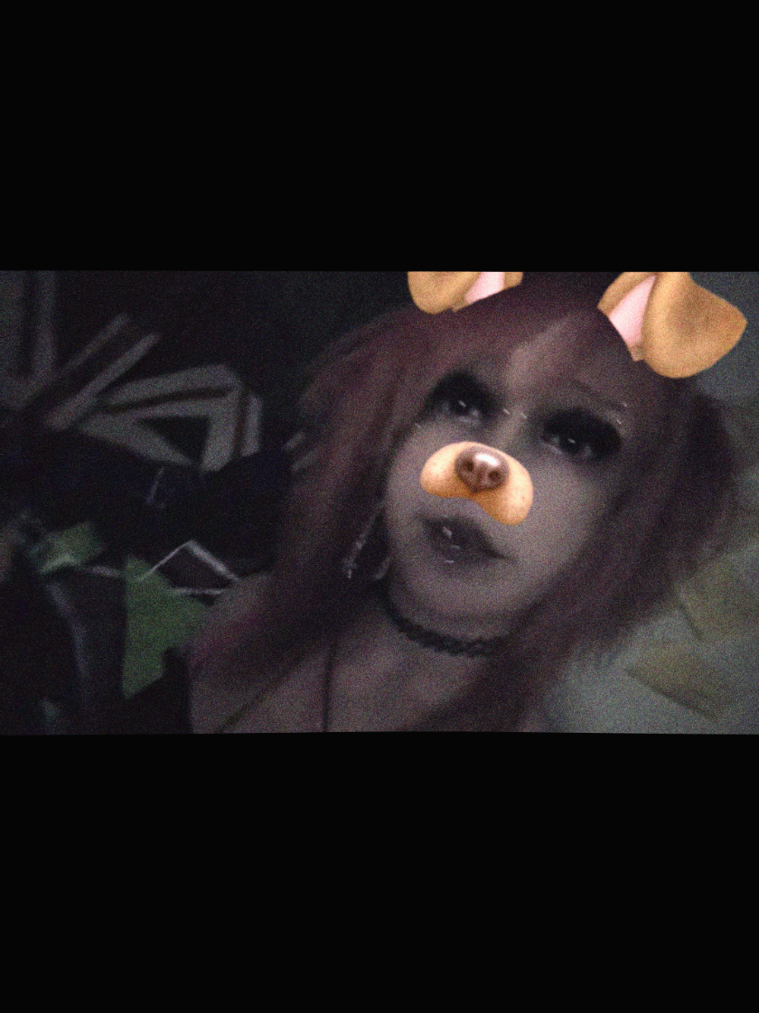 @( ´⊇`)