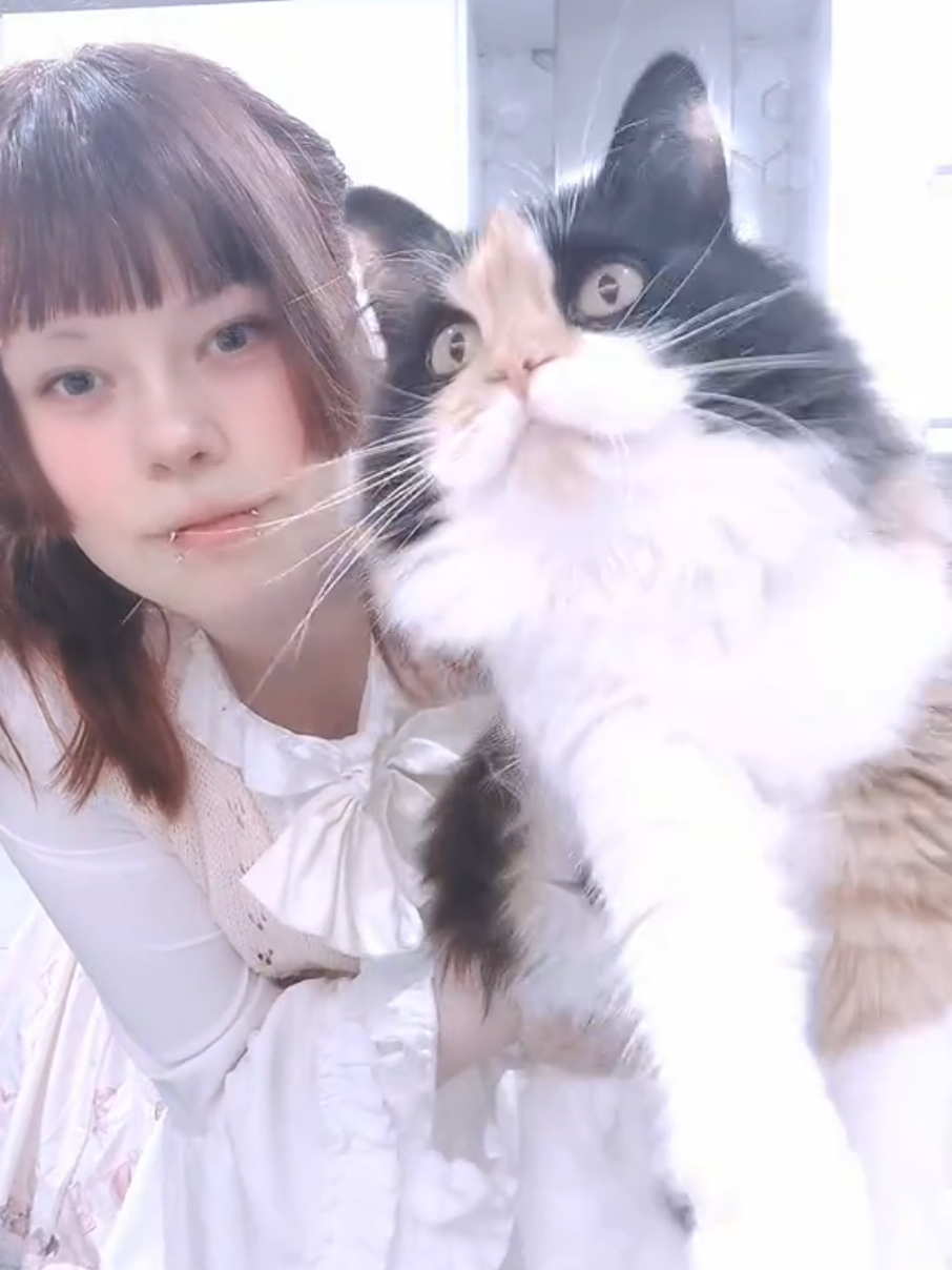 @Roachie :3