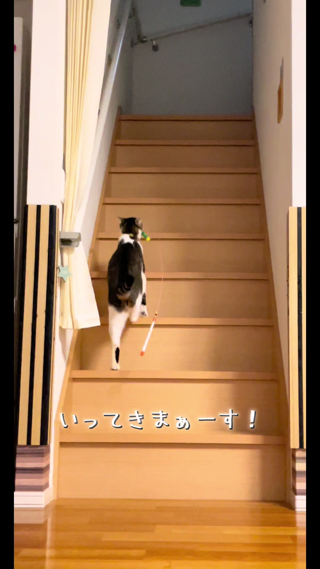 @ねこまみれ