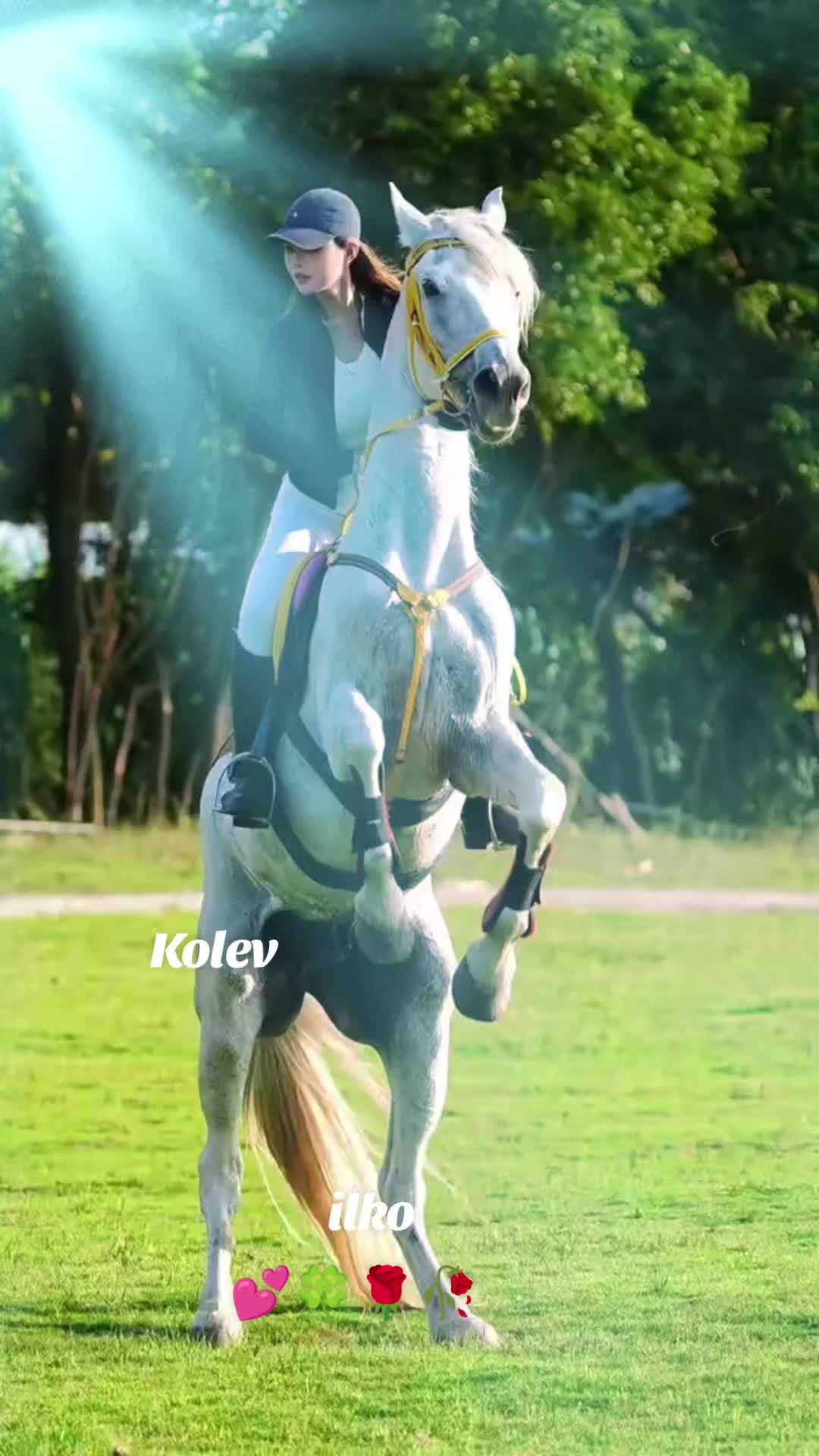 @ilkokolev401