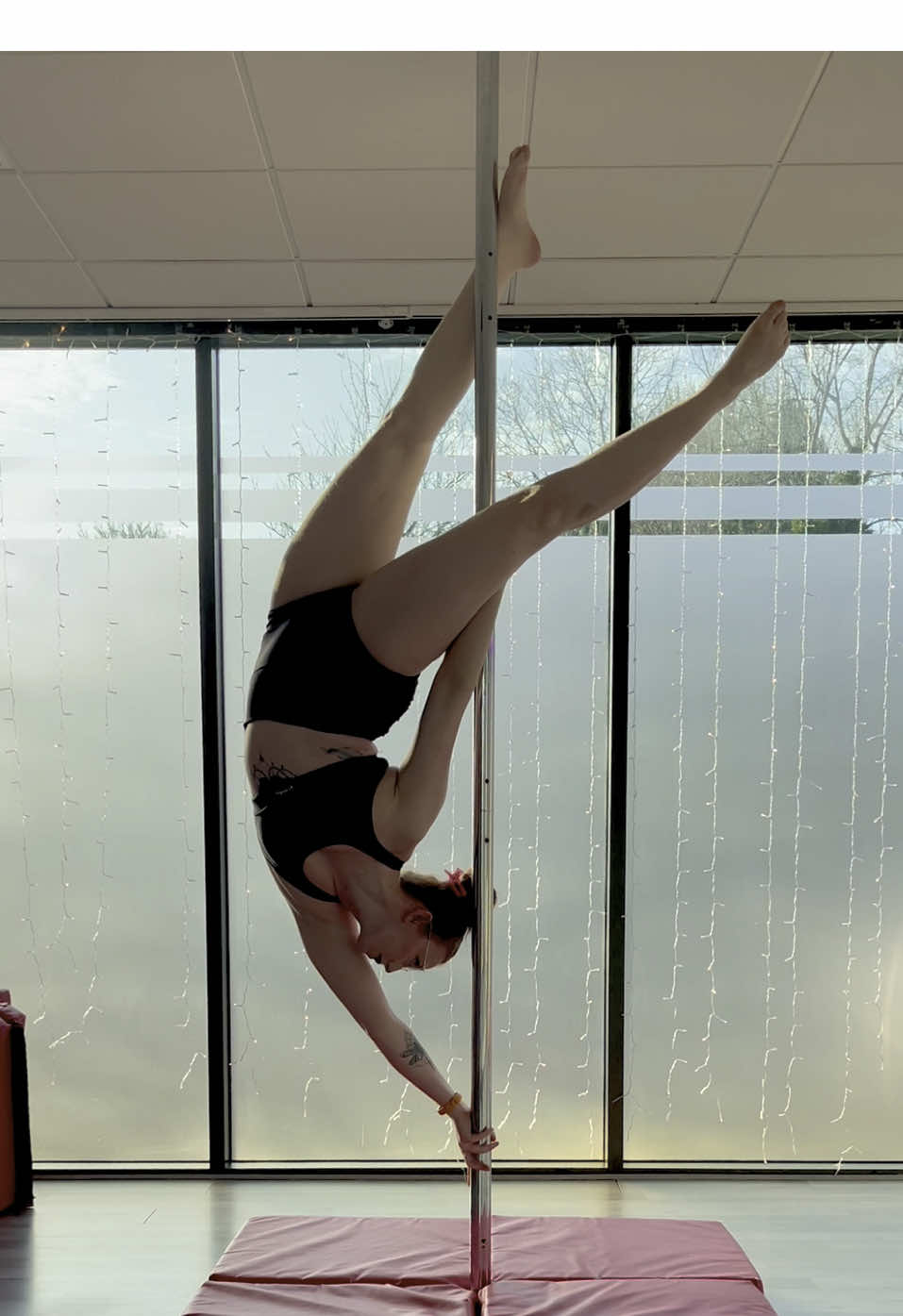 @ThePoleDancerGingie🦩