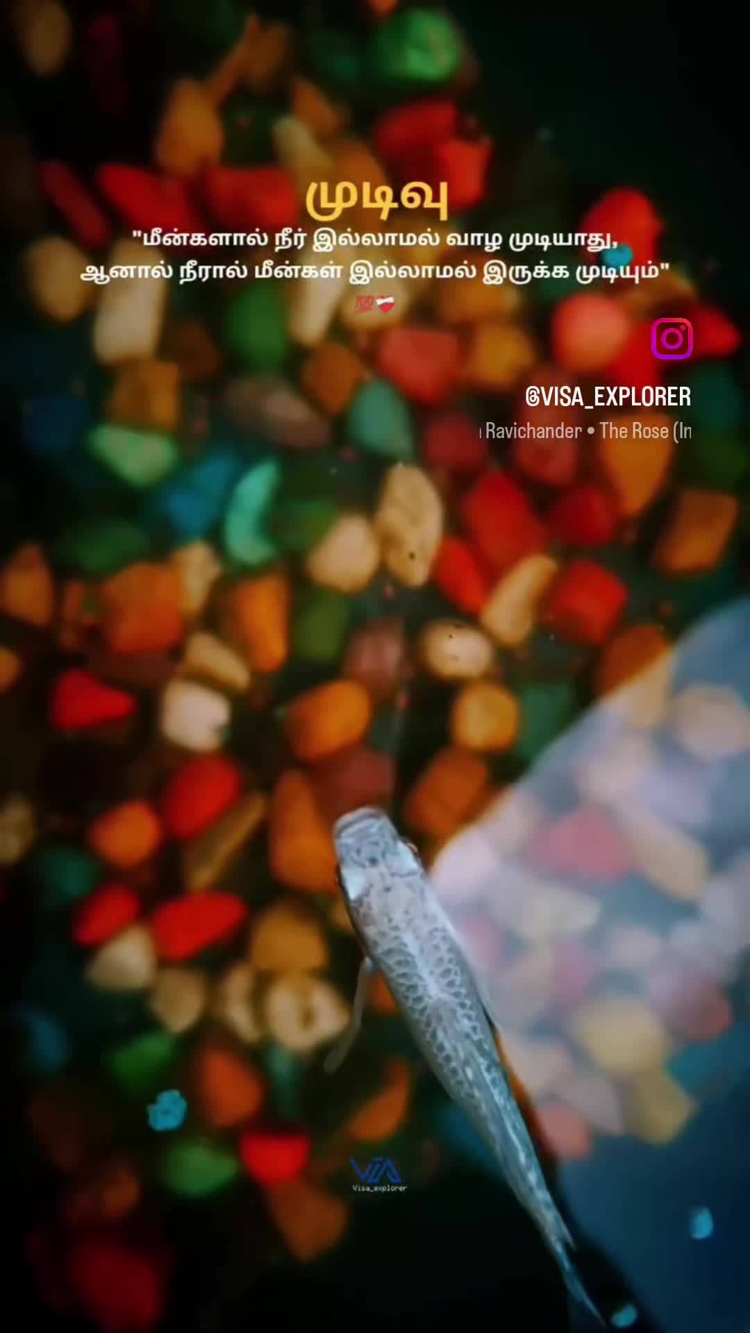 @Nathiyah88