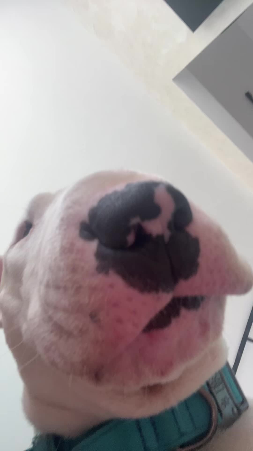 @AOD_ɢᴜᴇɴᴅᴀ