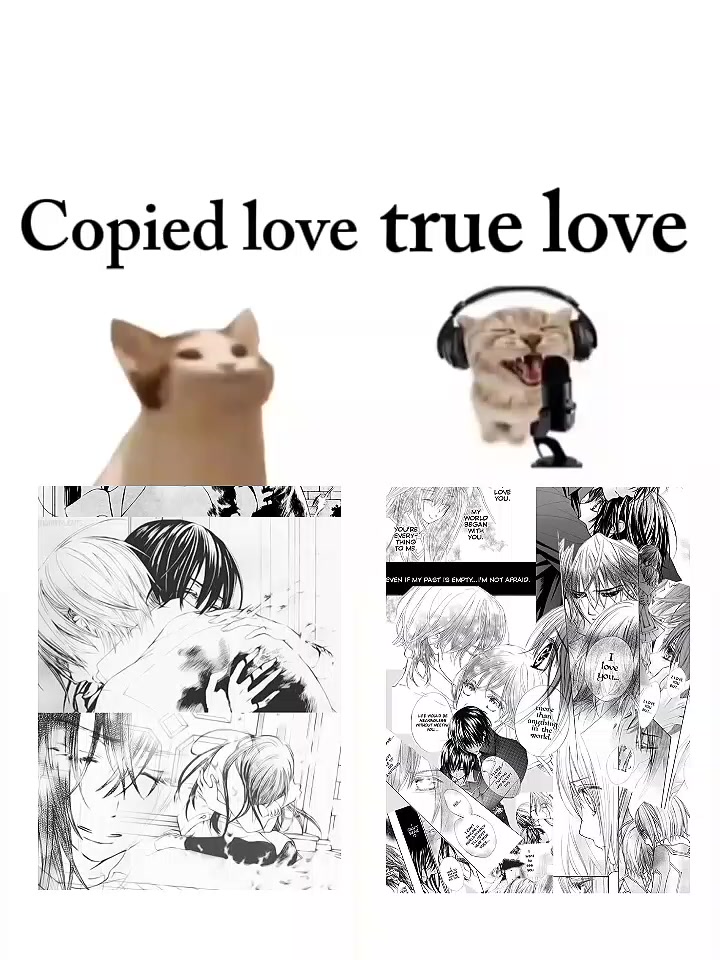 @vampire knight 🌹
