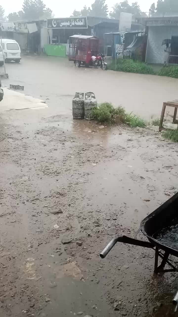 @میر علی شاہ