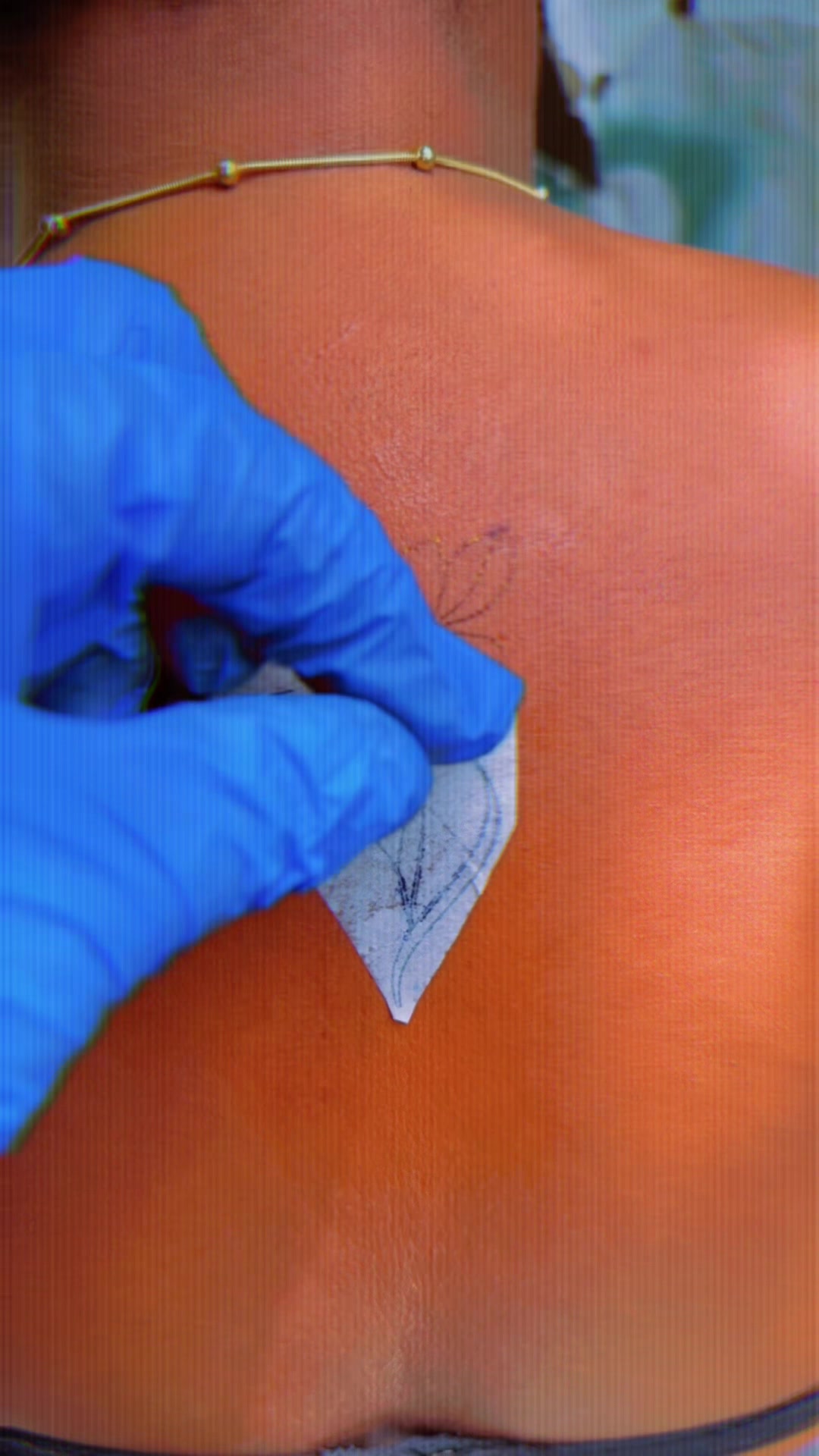 @Alpha Tattoo vivag 2.0