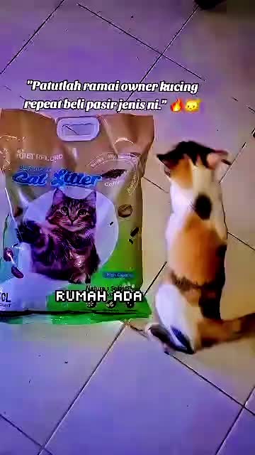 @NORIZARASHID