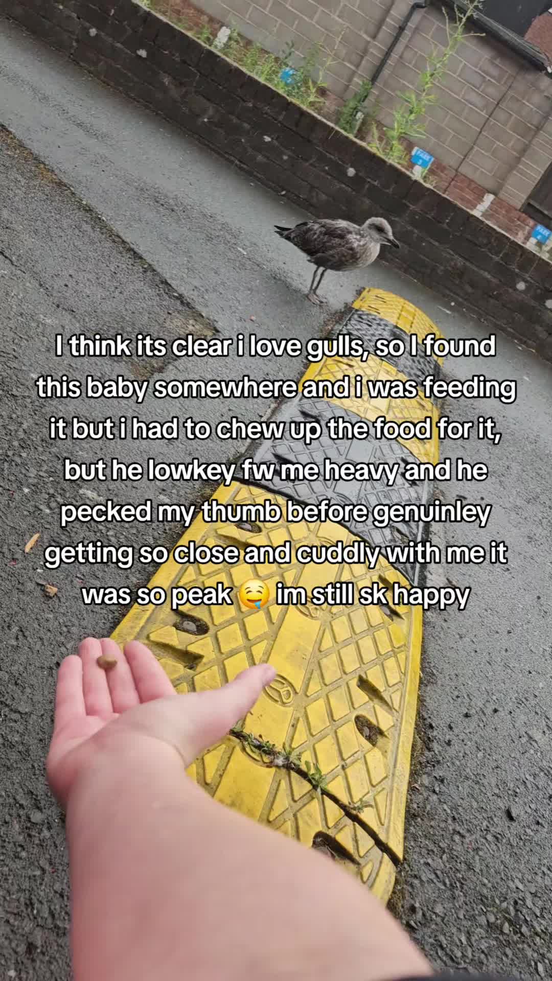 @Anabelle🦢🩰🕯