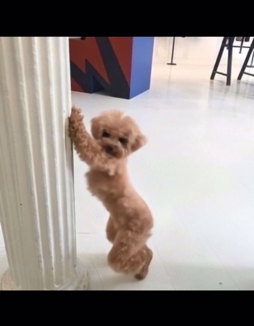 @𝓛𝓾𝓬𝓪_388