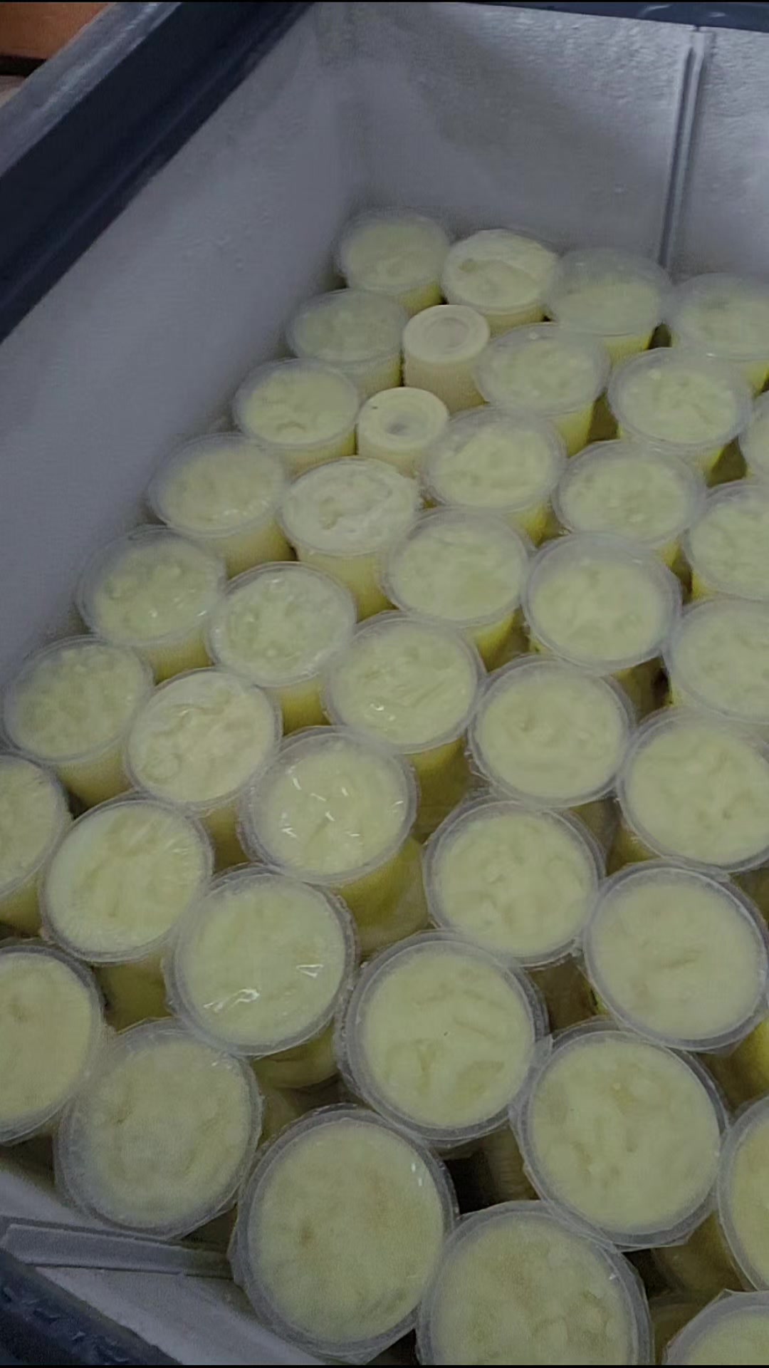 @Kenzhi Durian Tuban