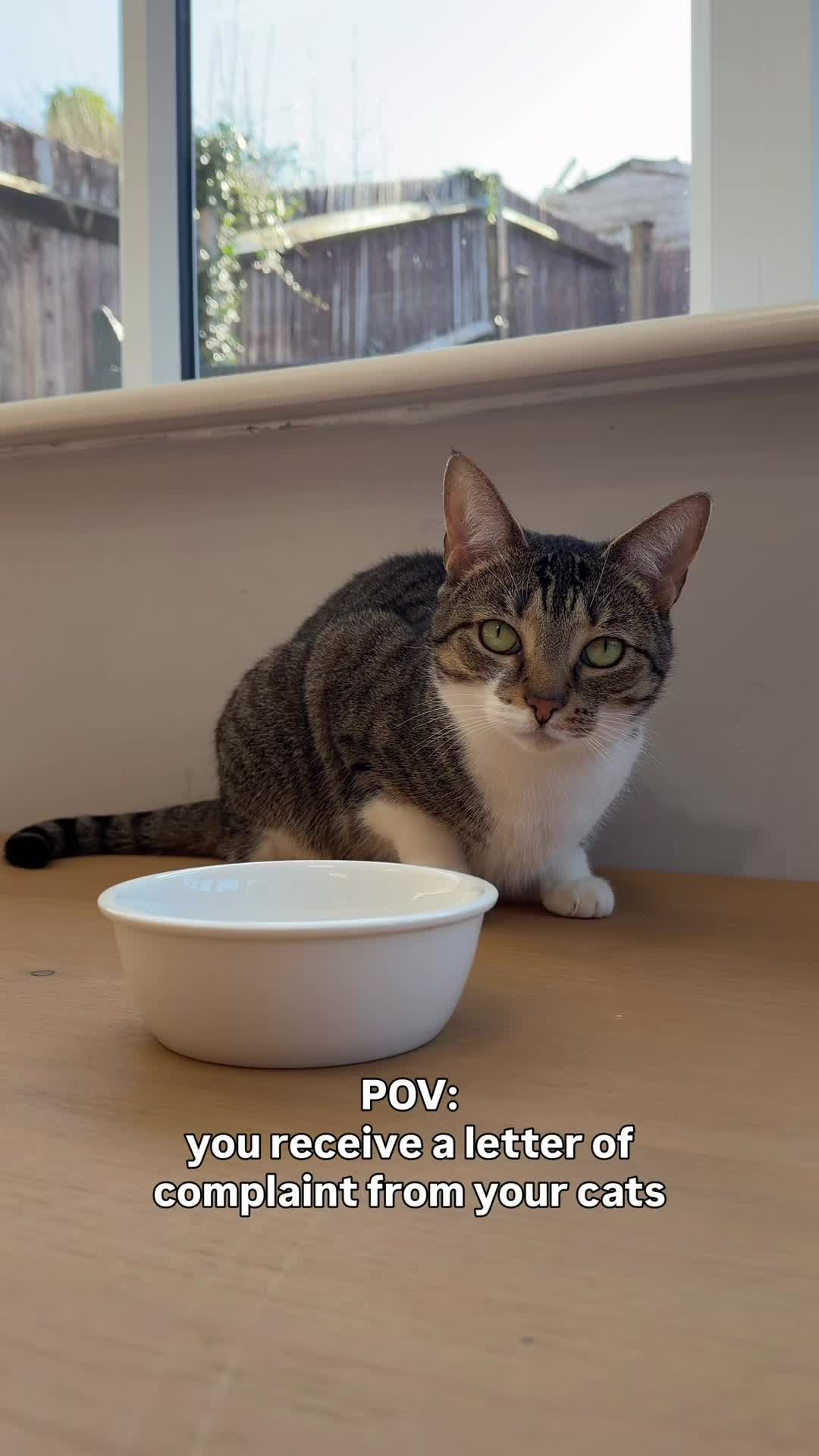 @lola_and_popps