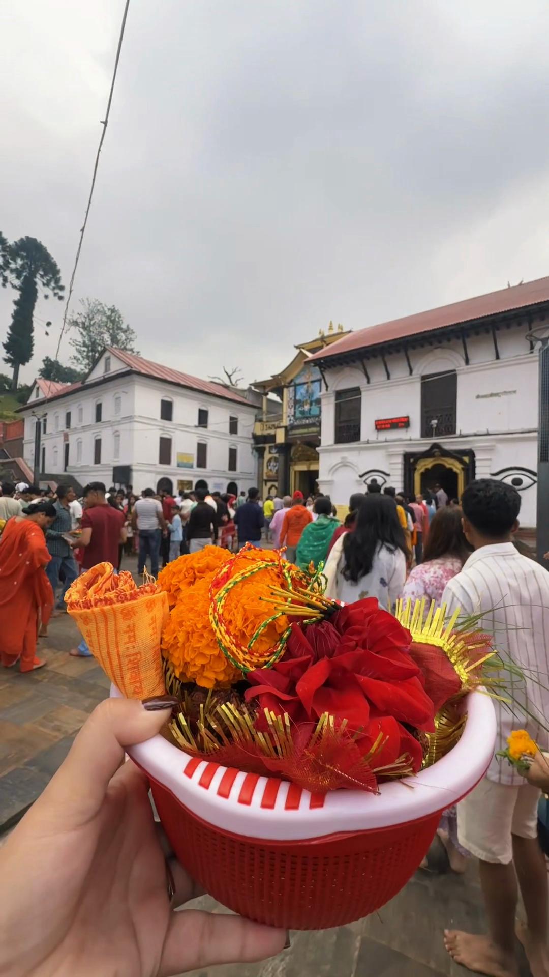 @Apsara Timalsina
