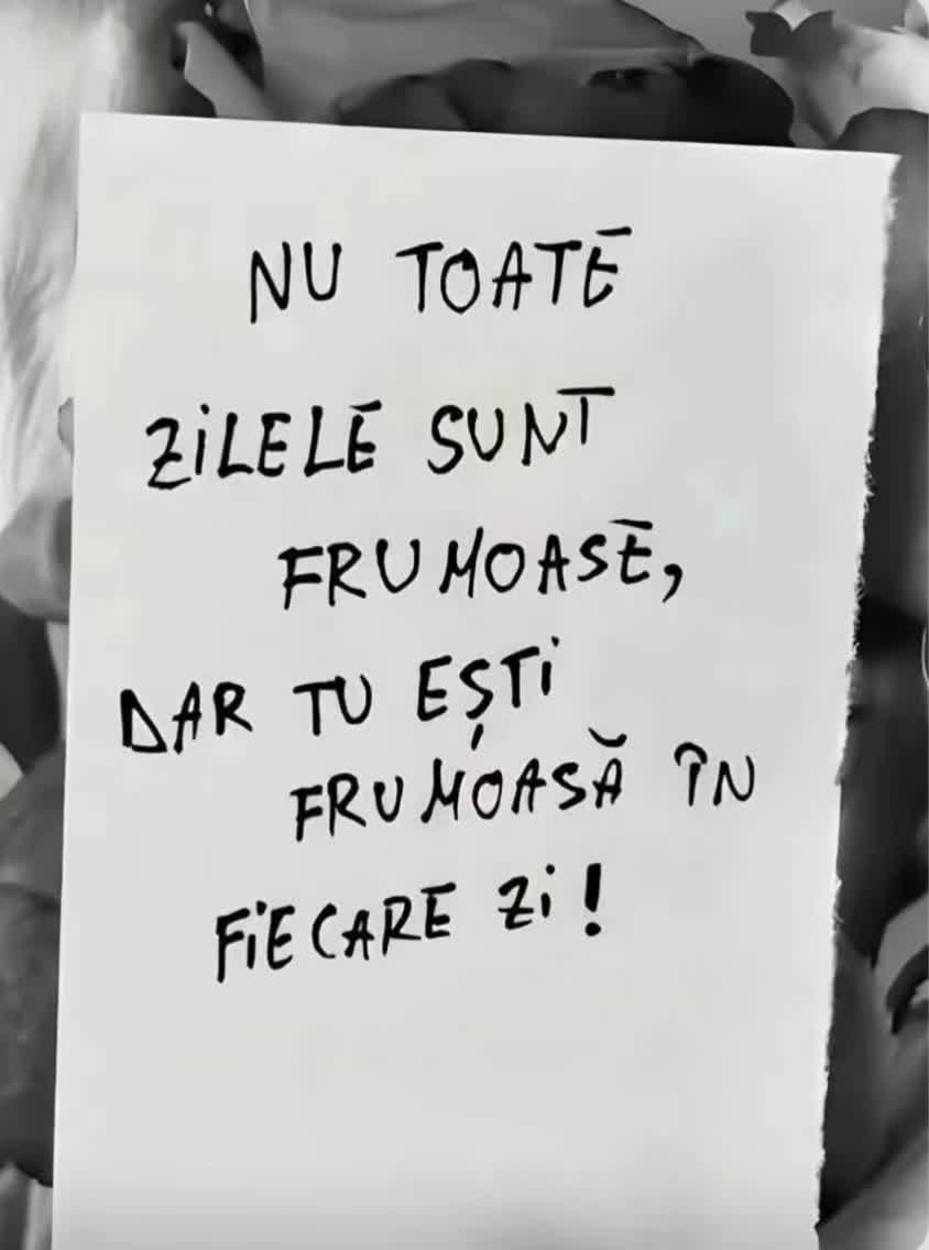 @Mihaela Zechmeister