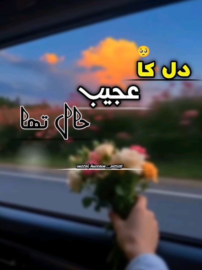 @ᕼᑌ𝚂ᗩIᑎ 🍁