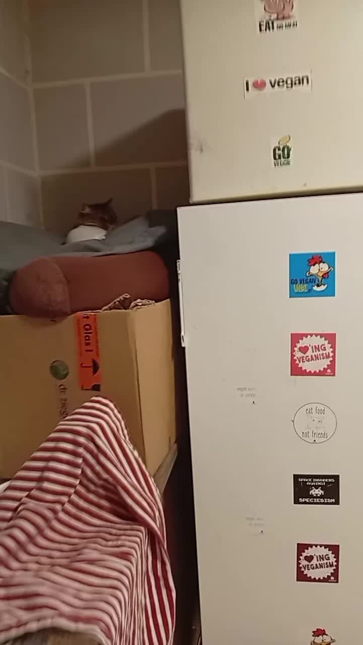 @Connysmultikultitruppe