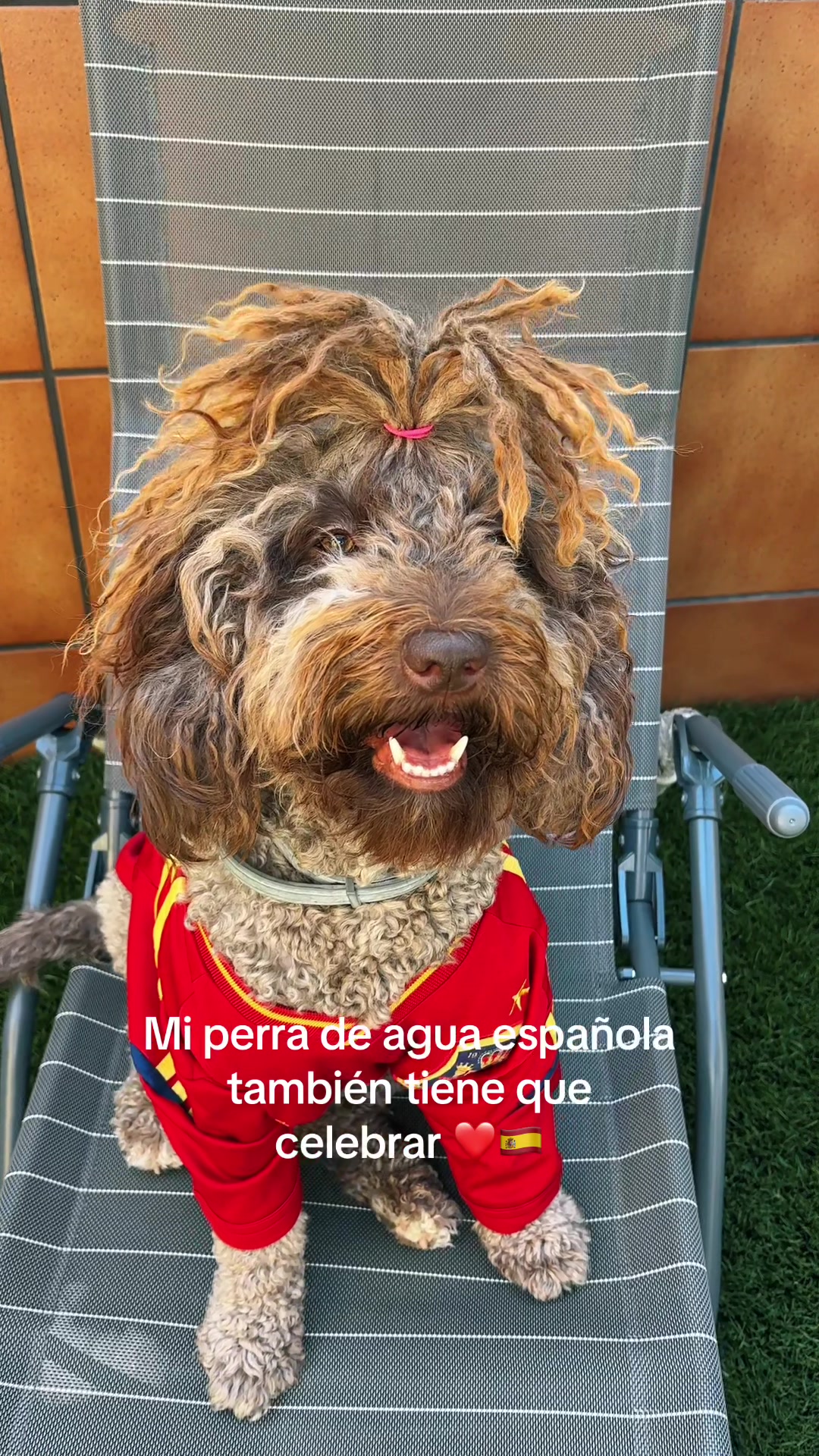 @cristinaagriim
