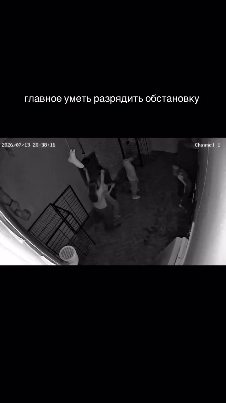 @полина зая