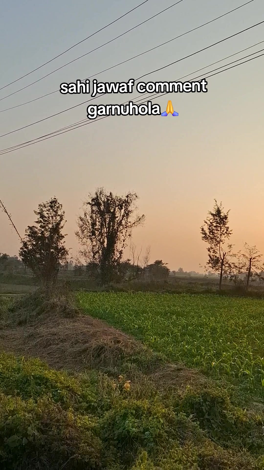 @Sudha Thapaliya