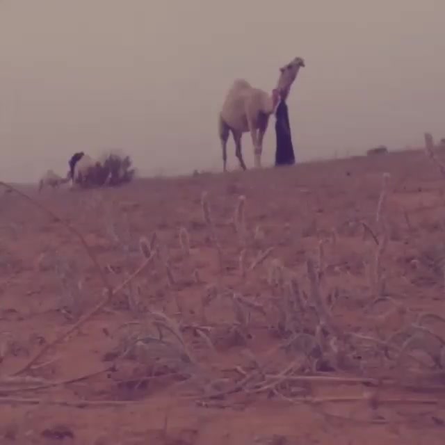 @عذب