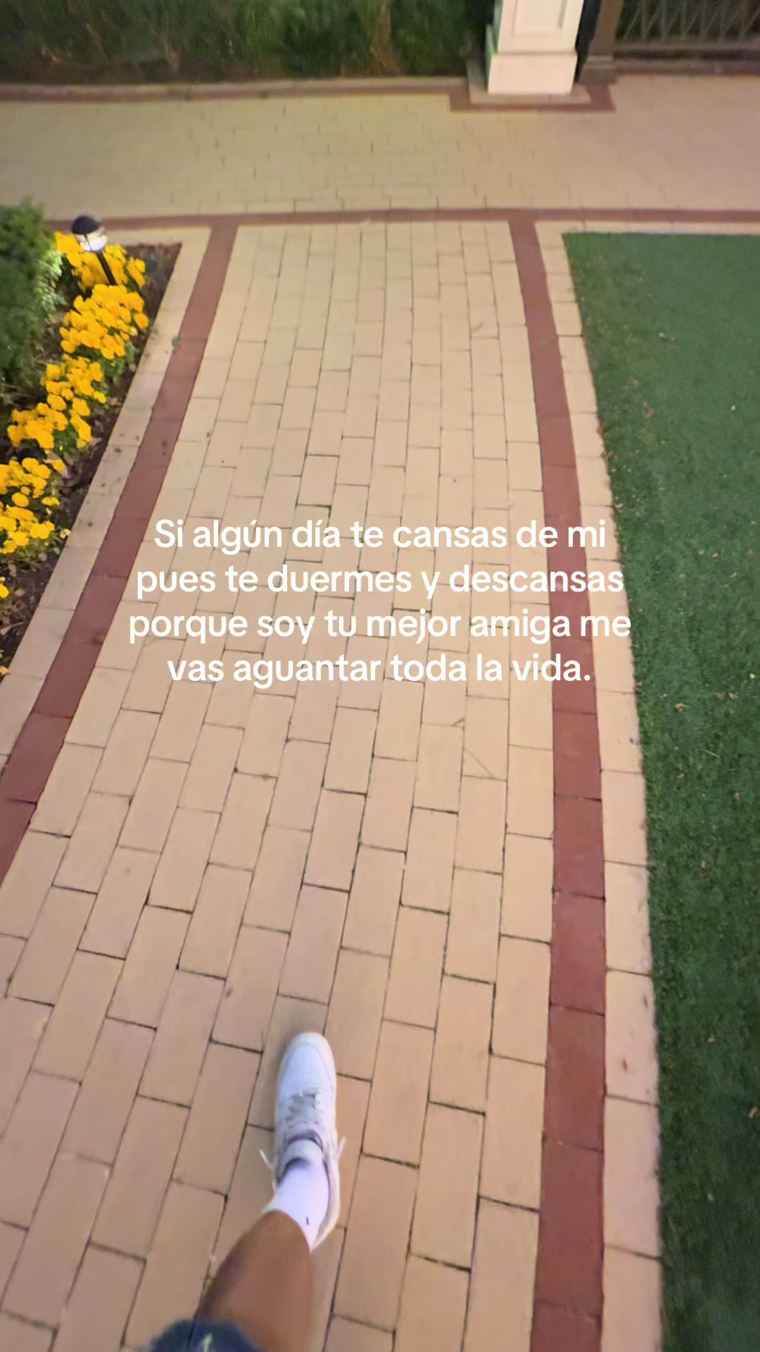 @luissandoval0130