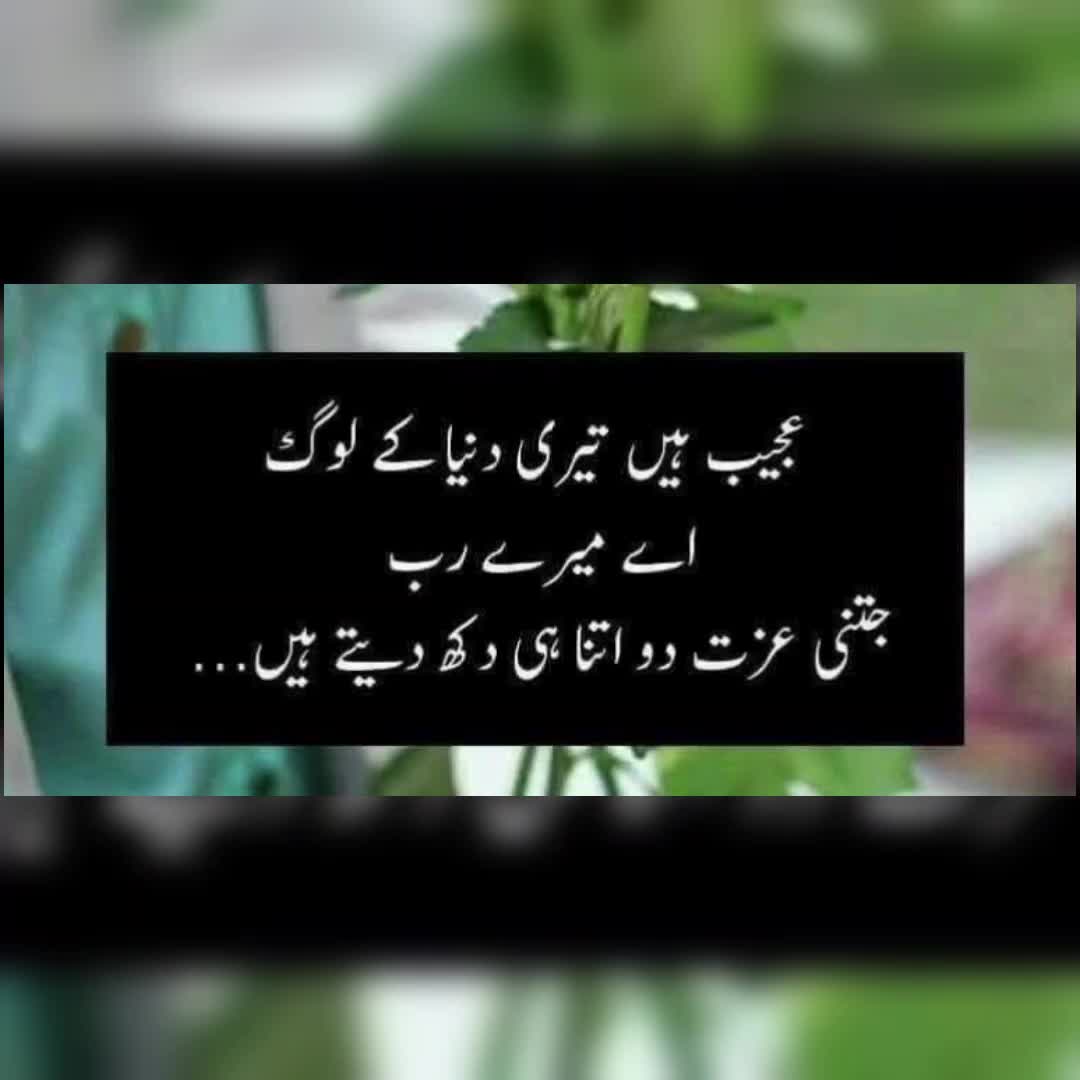 @🌹MeEm jEe SHeIkH میم جی 🌹Uk