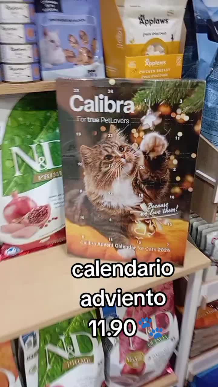 @patitasconsentidastobby
