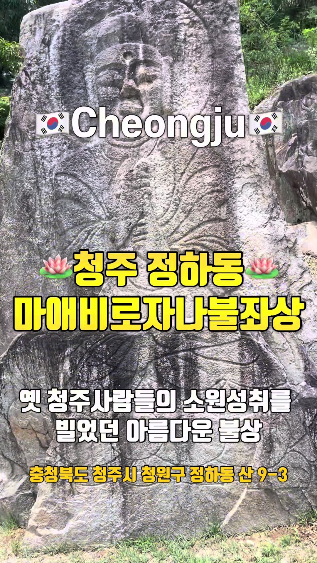 @043 TV