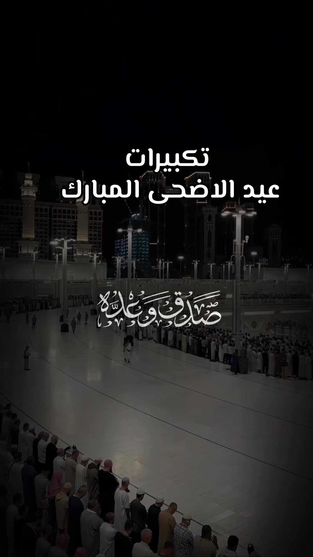 @Mahmoud Saad
